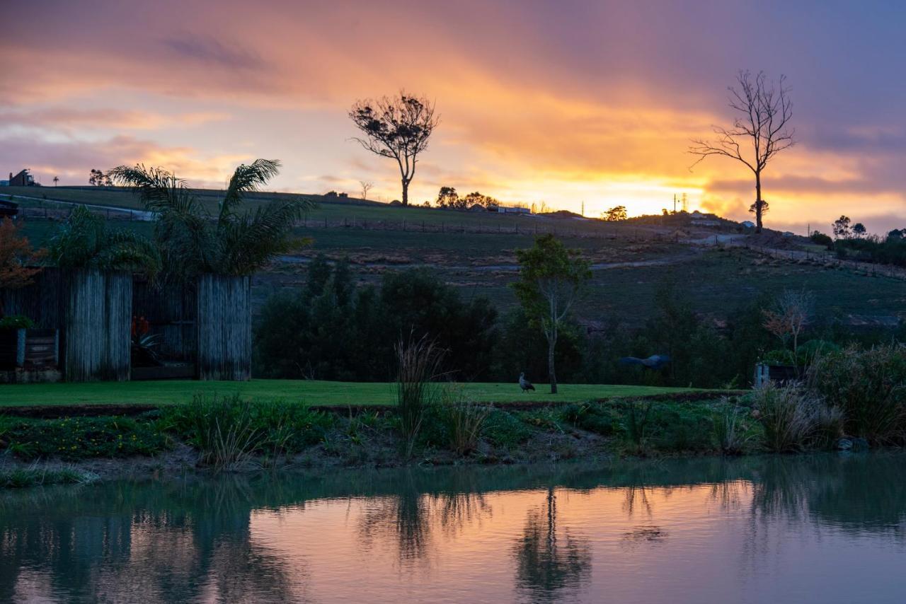Hudson Manor - Entabeni, Knysna Bed & Breakfast Ngoại thất bức ảnh